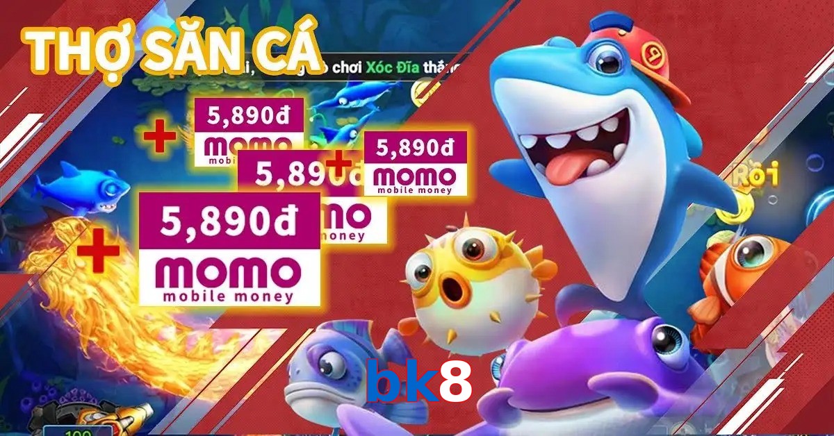 bk8